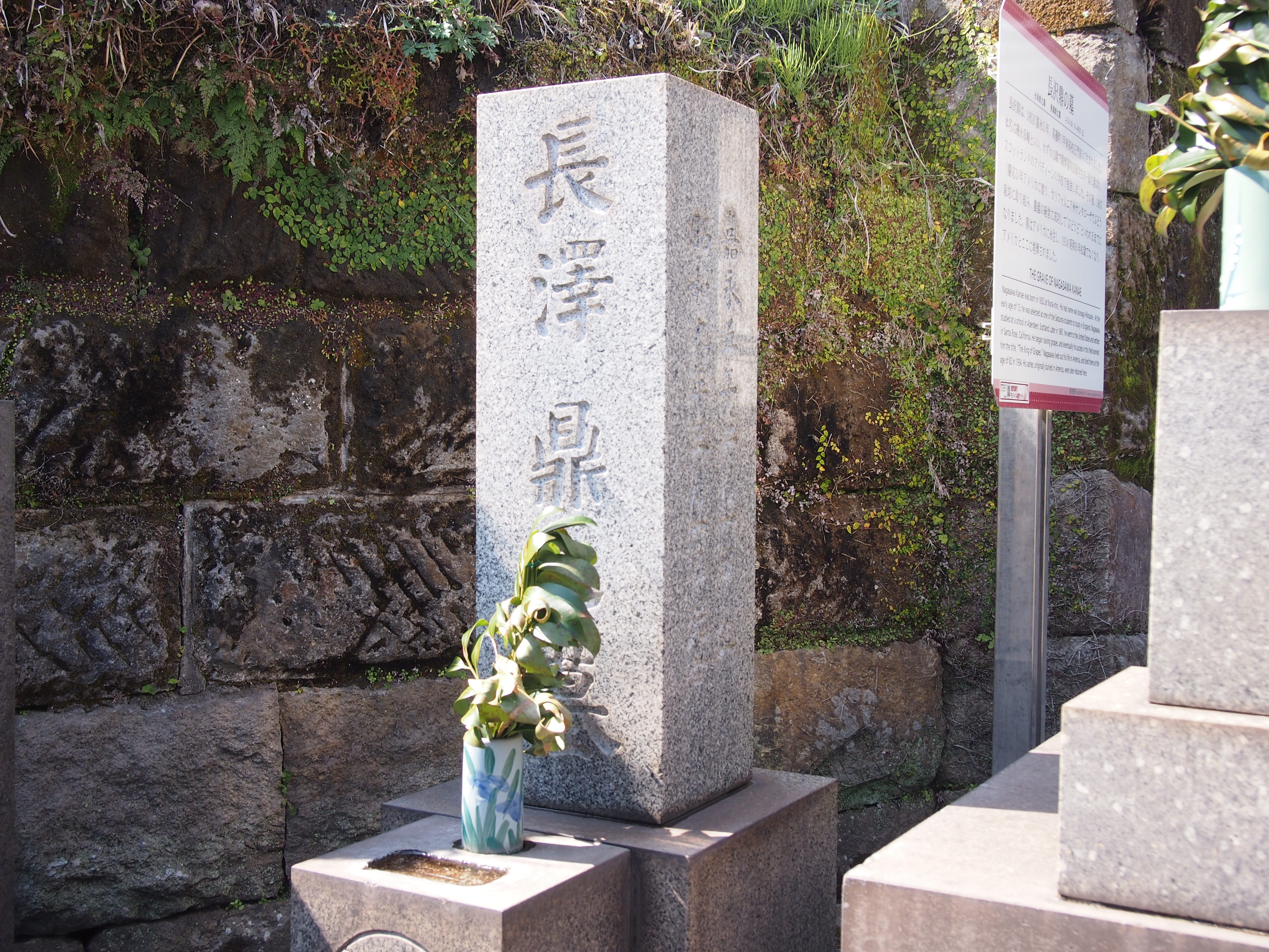 長沢鼎の墓