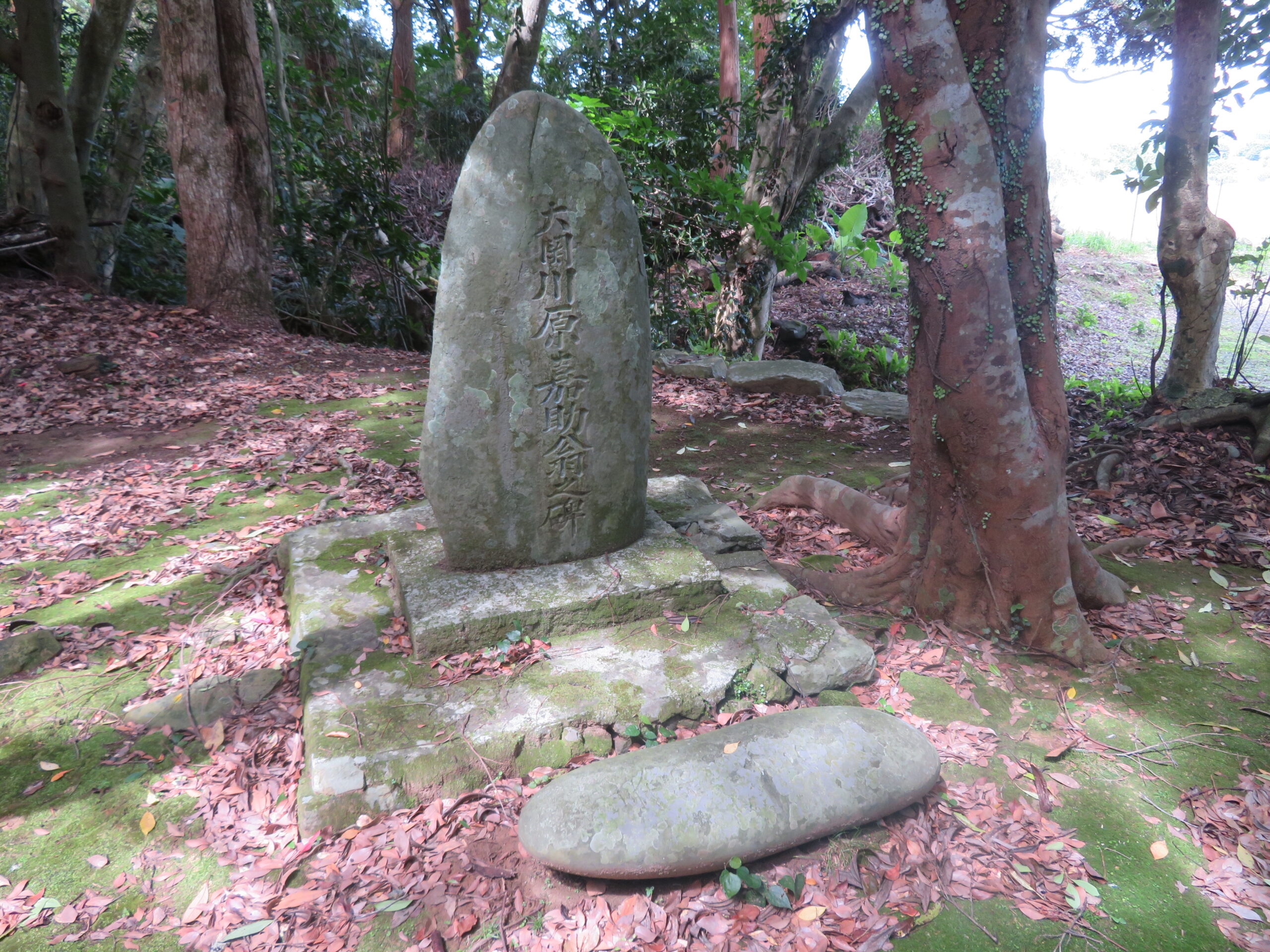 大関川原嘉助翁の碑と力石